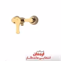 شیر  توالت ارمغان مدل پاپیون رنگ طلایی براق