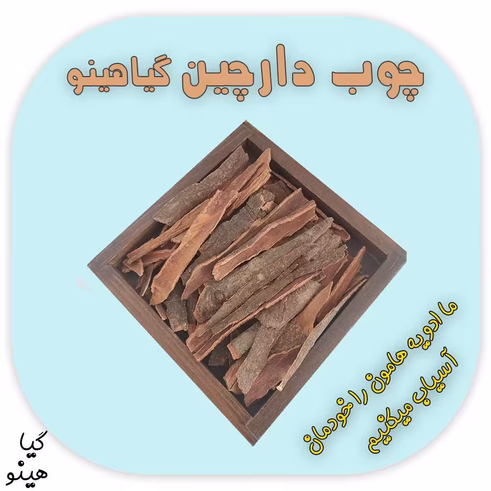 دارچین قلم 1000 گرمی گیاهینو پر فروش 