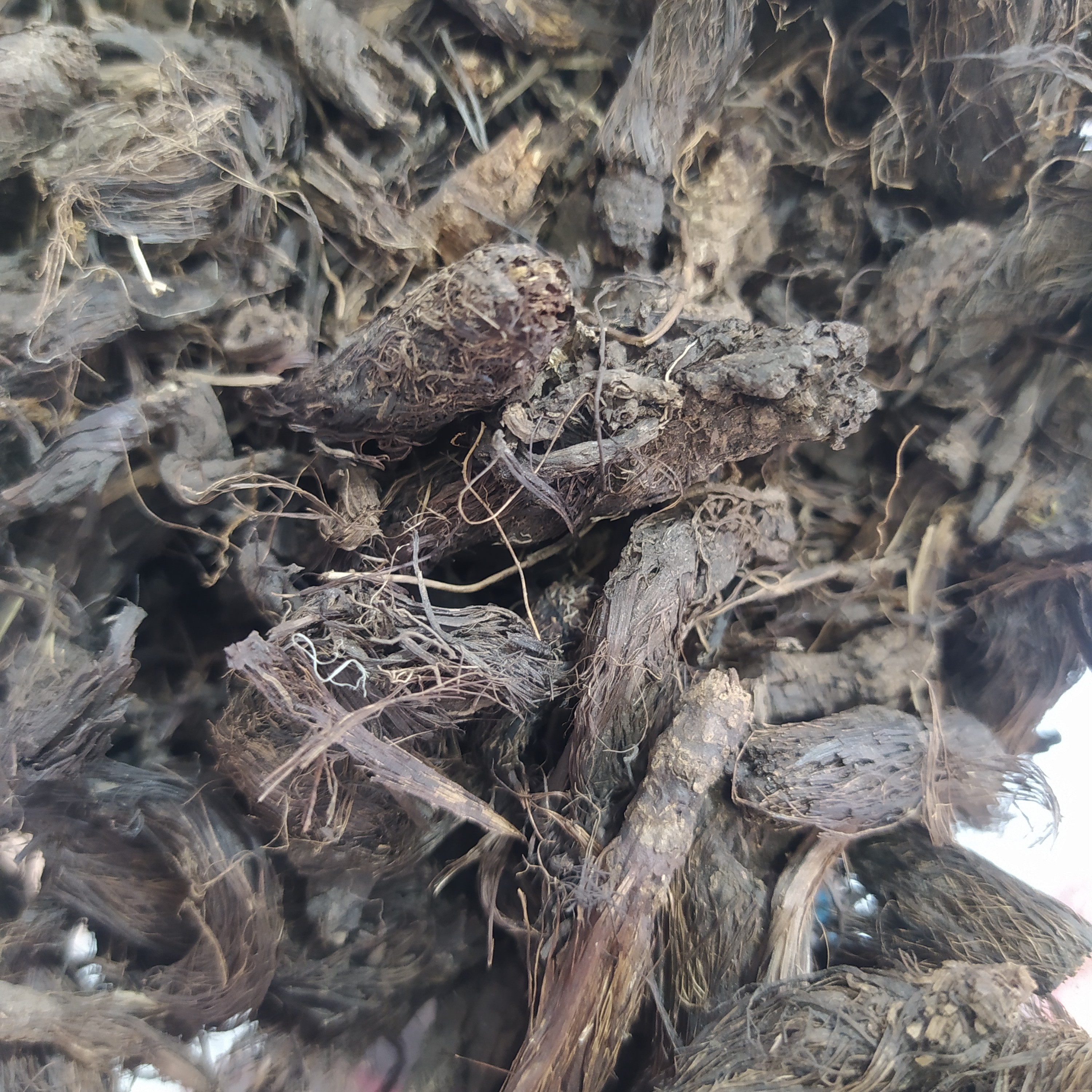سنبلیطیب 40گرمی