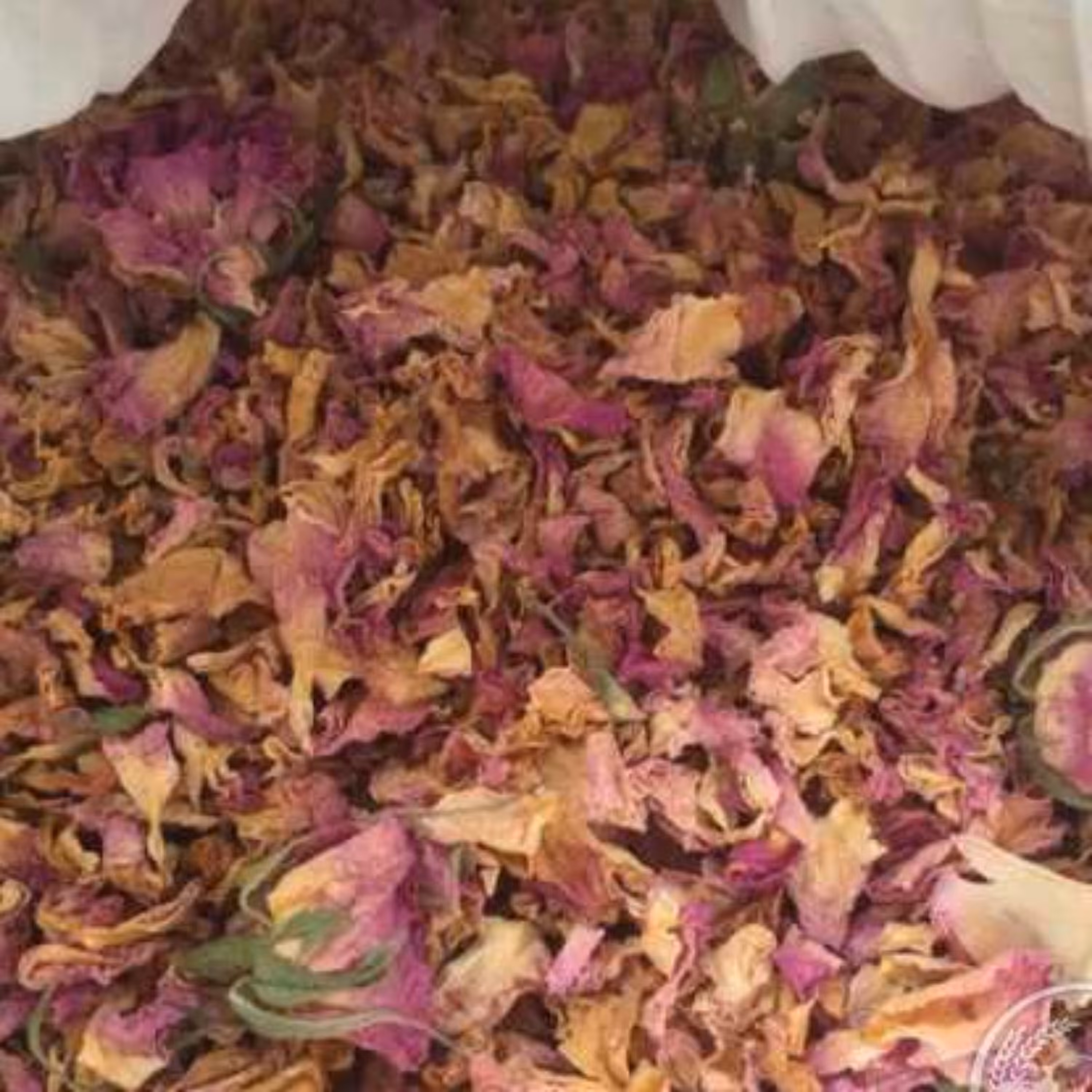 گل محمدی برگ