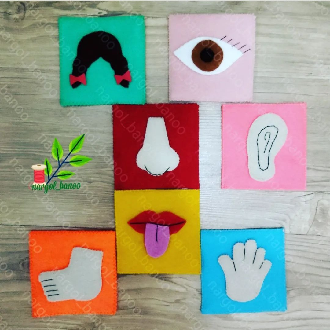 کارت آموزش اعضای بدن