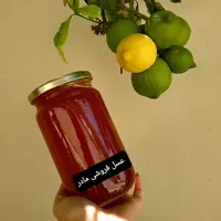 عسل طبیعی مرکبات(عسل فروشی مادر )