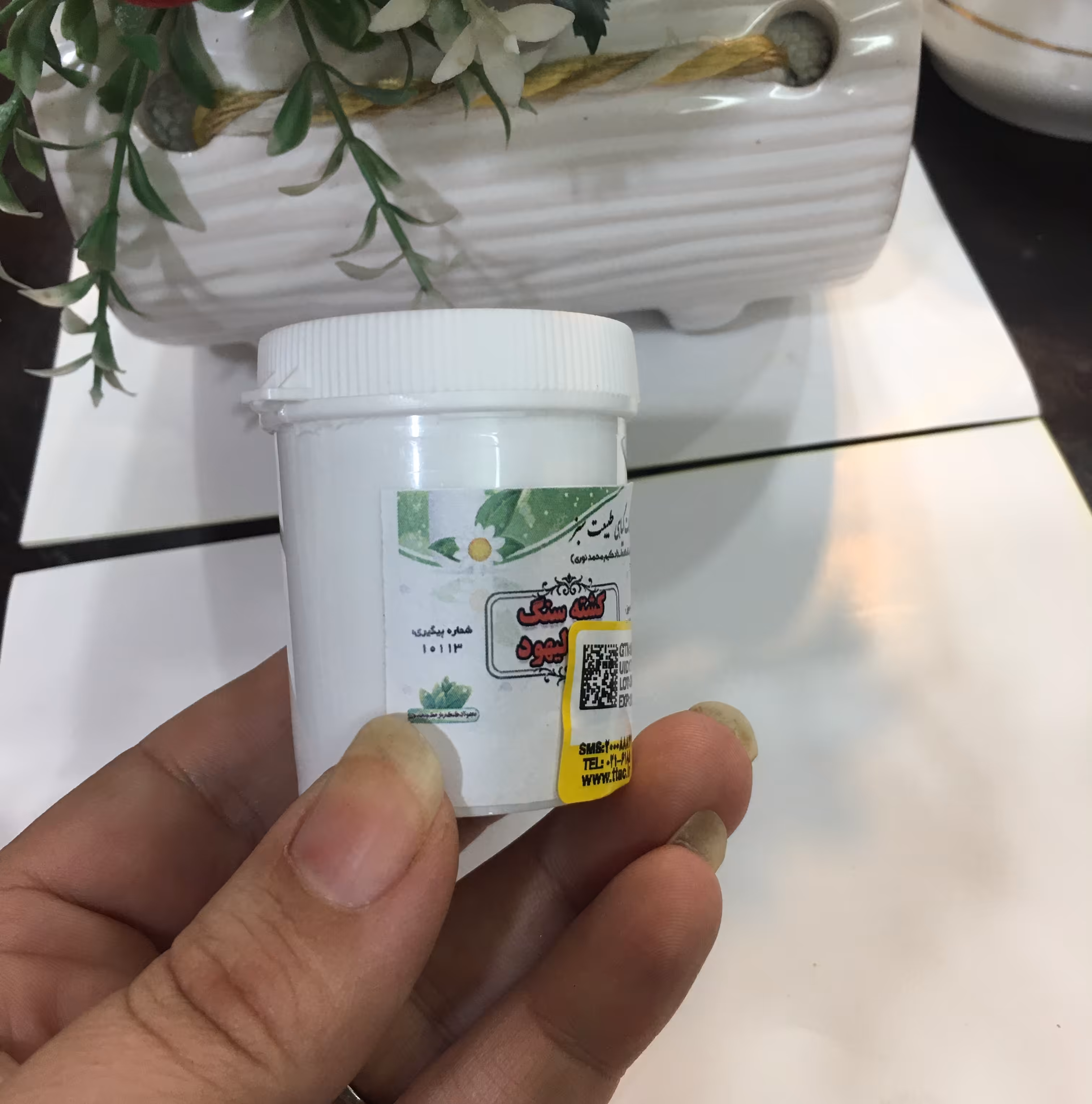 گیاه فشرده  حجرالیهود دفع کننده سنگ کلیه  دردهای سیاتیکی 