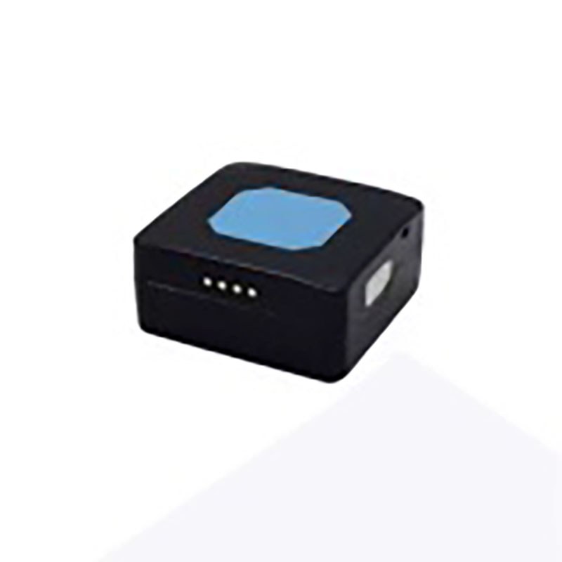 Teltonika  TMT250