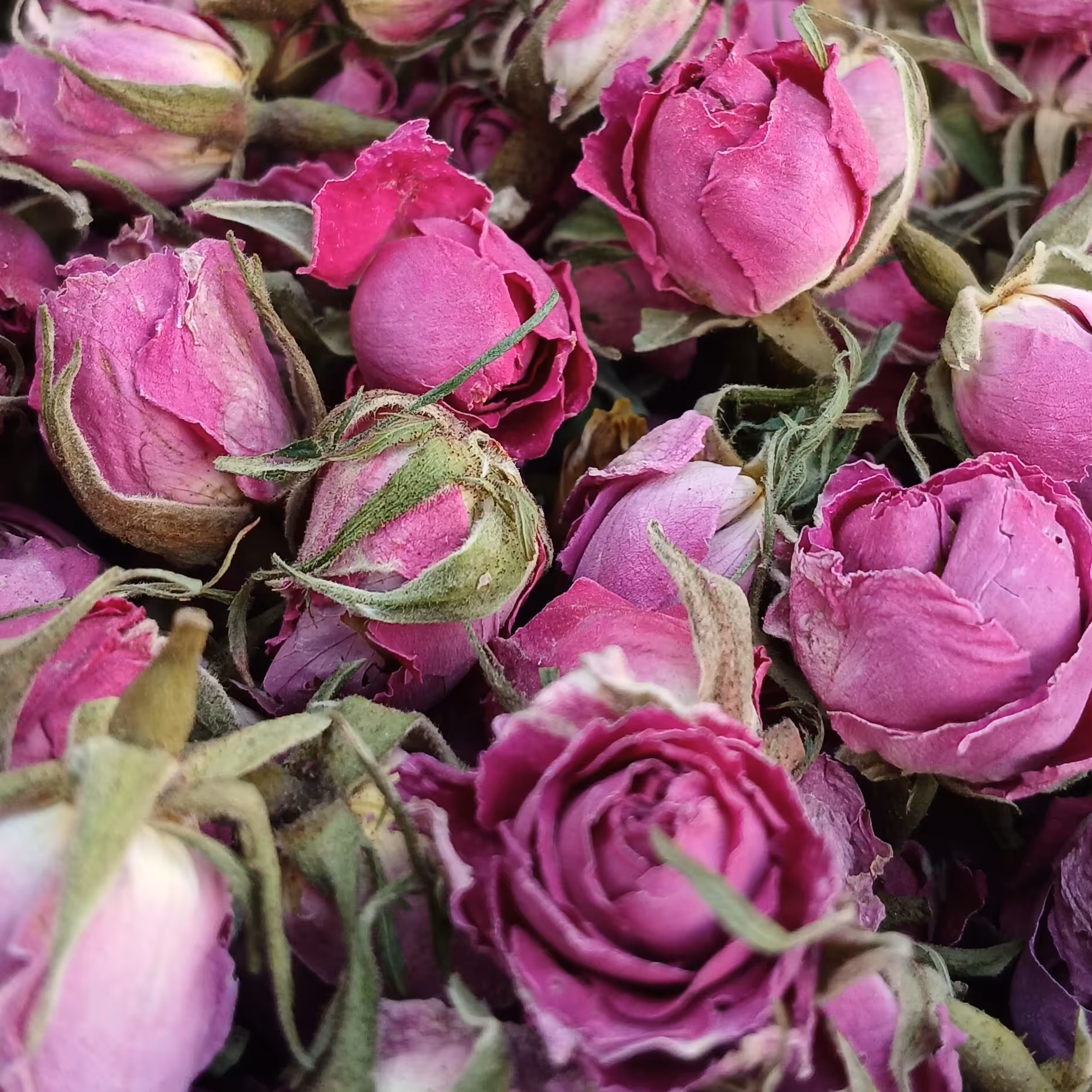 غنچه گل محمدی 50گرم