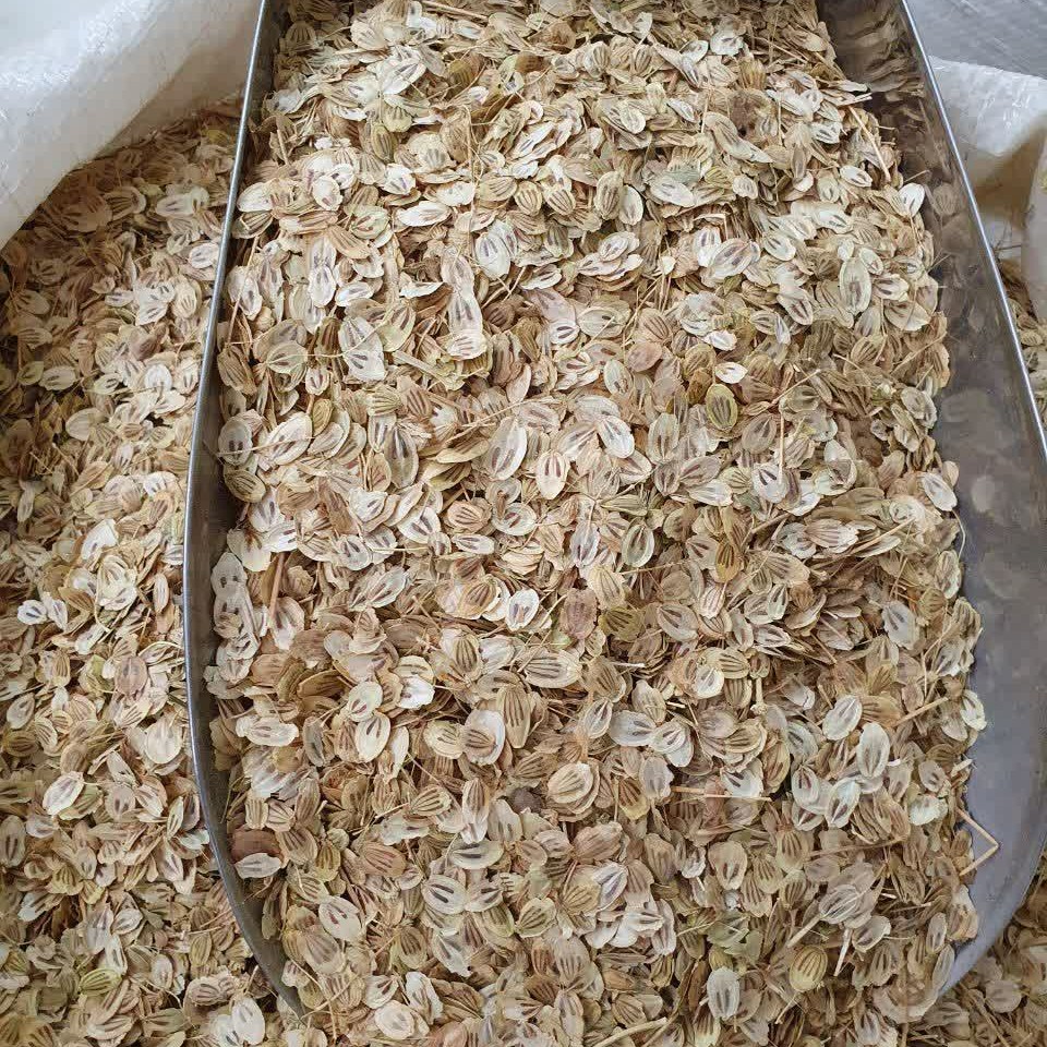 گلپر درشت اعلاء 100 گرم