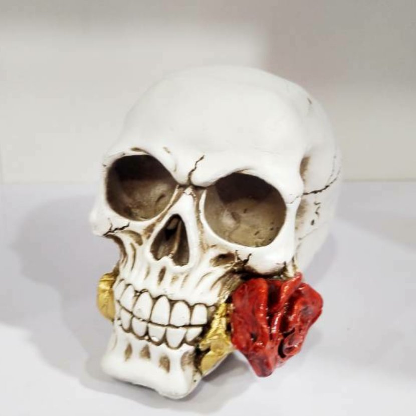 مجسمه دکوری  جمجمه ی عشق ماندگار