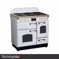 اجاق گاز مبله تاکنوگاز سری فالکون مدل FALCON-L-5B-WS-Gold