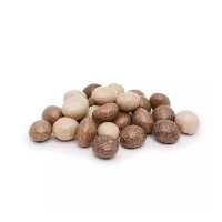 دراژه دونه قهوه با روکش شکلات یامی لندز