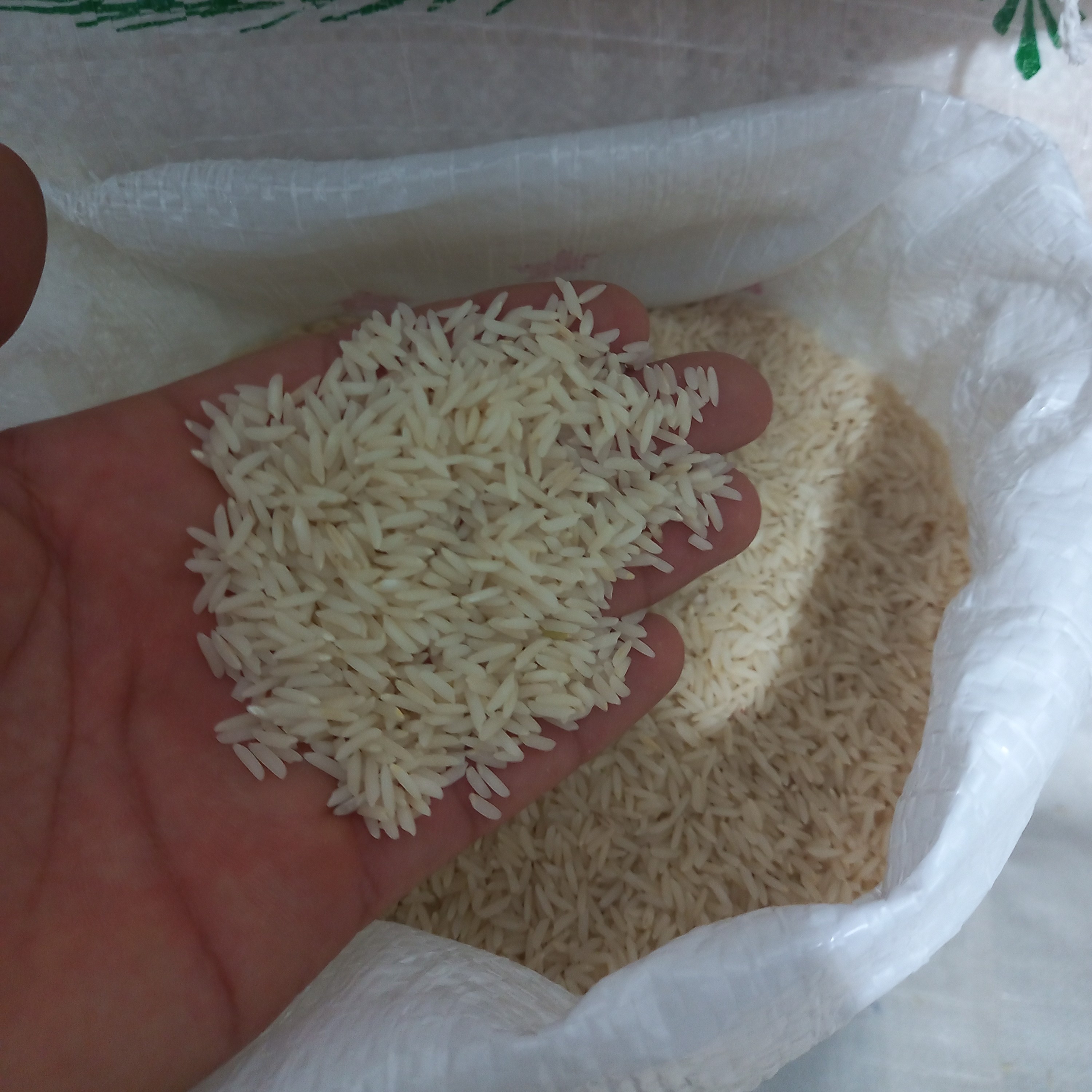 برنج هاشمی درجه 1 گیلان تالش