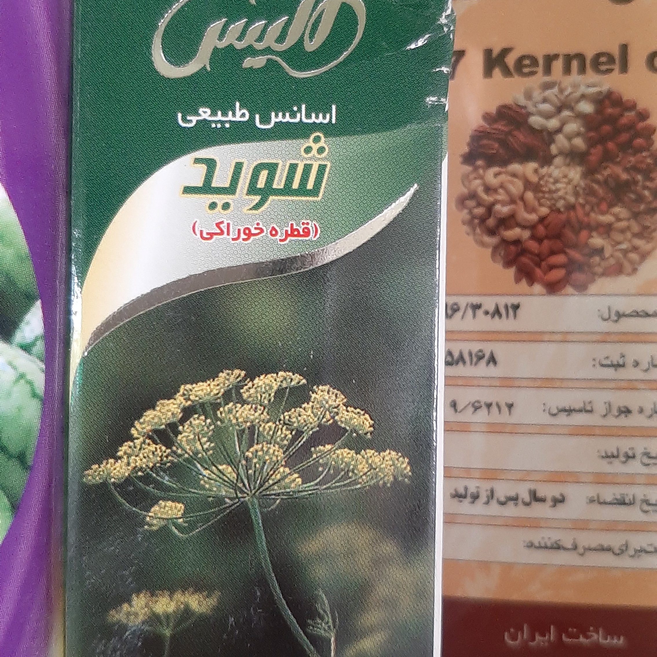 روغن شوید