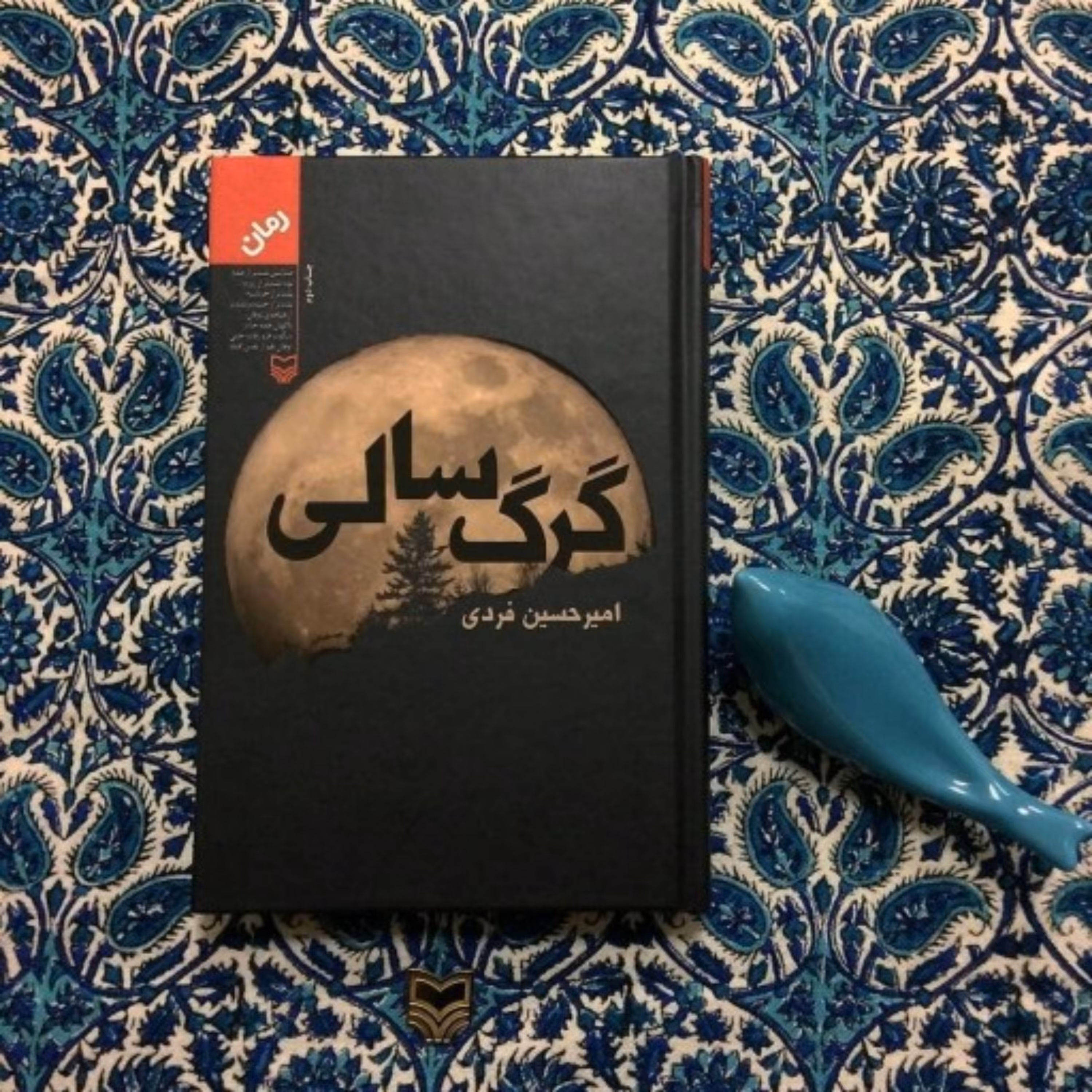 کتاب گرگ سالی (به قلم امیرحسین فردی)