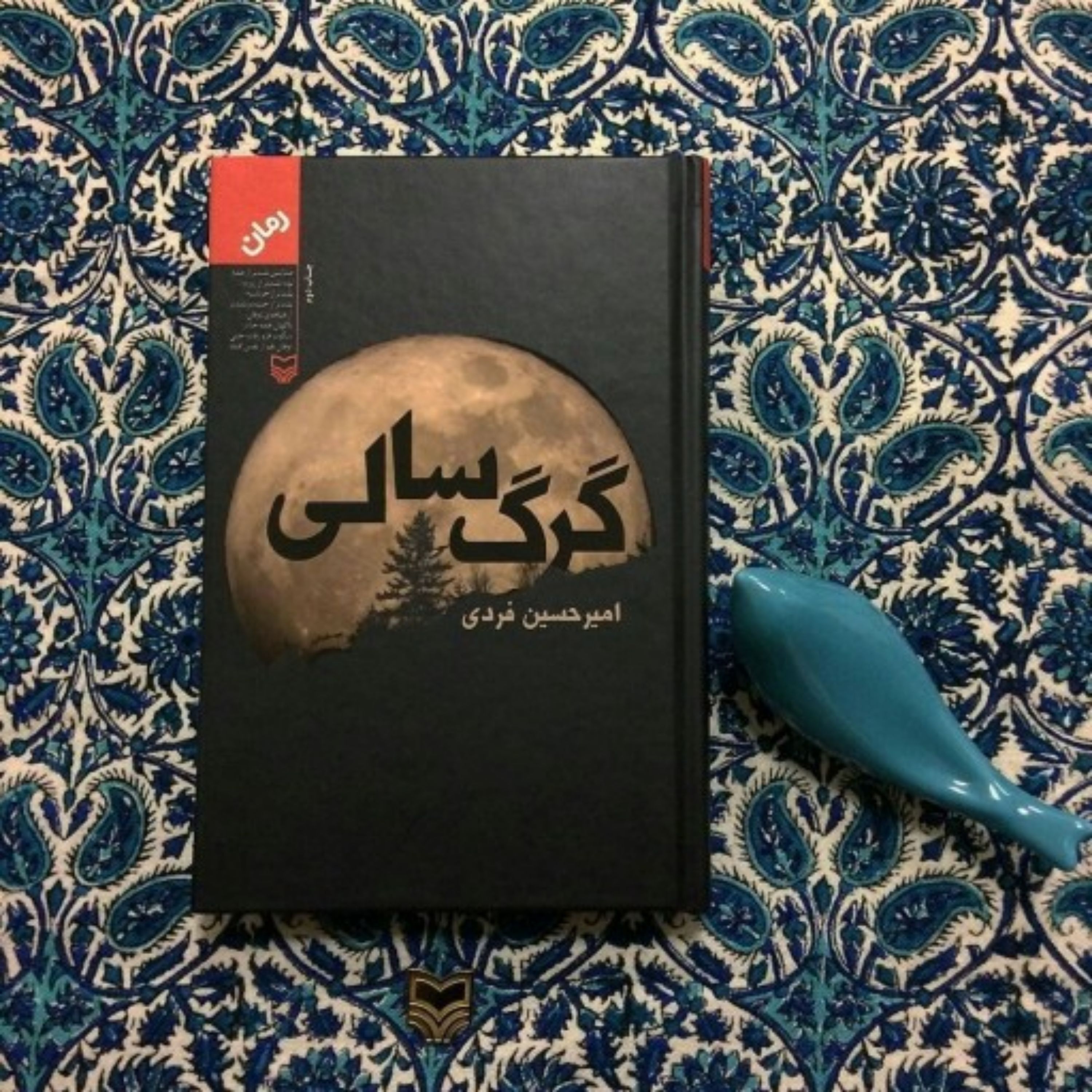 کتاب گرگ سالی (به قلم امیرحسین فردی)