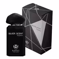ادو پرفیوم مردانه رائول مدل Silver Scent حجم 100 میلی لیتر