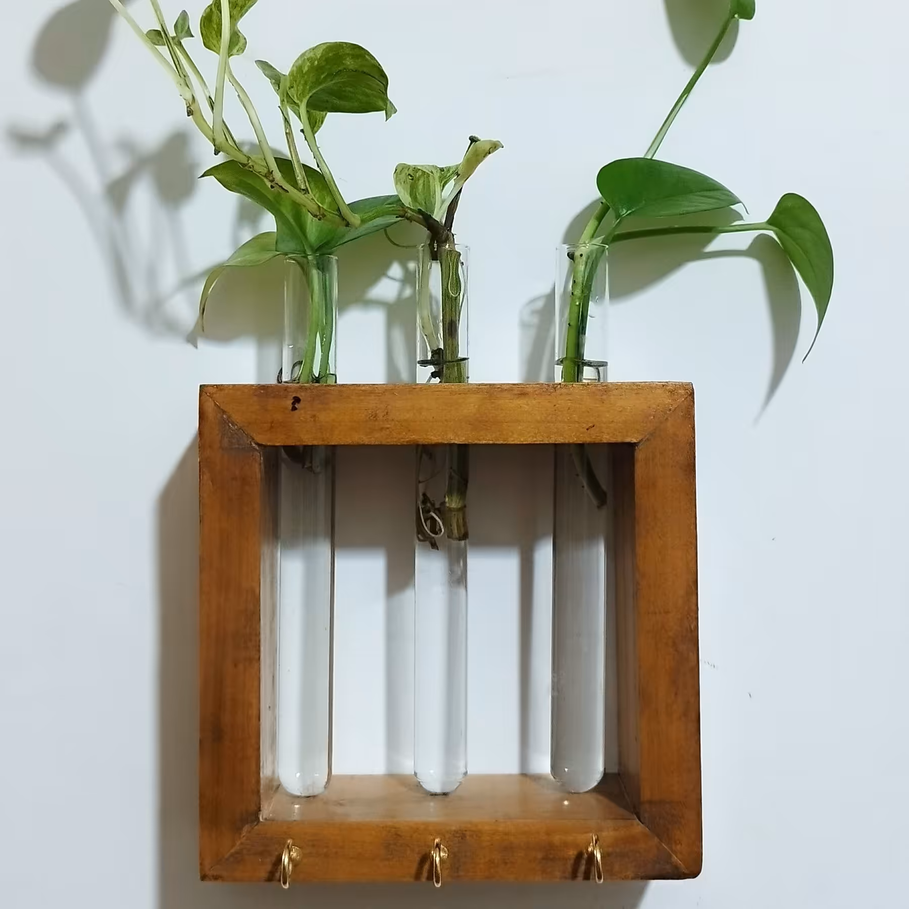  جاکلیدی دیواری  ریشه در آب چوبی