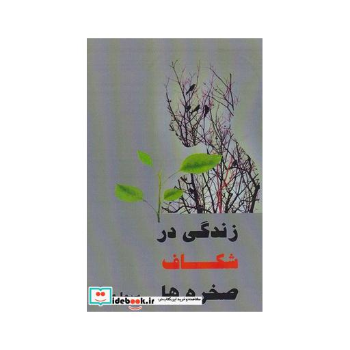 کتاب زندگی در شکاف صخره ها
