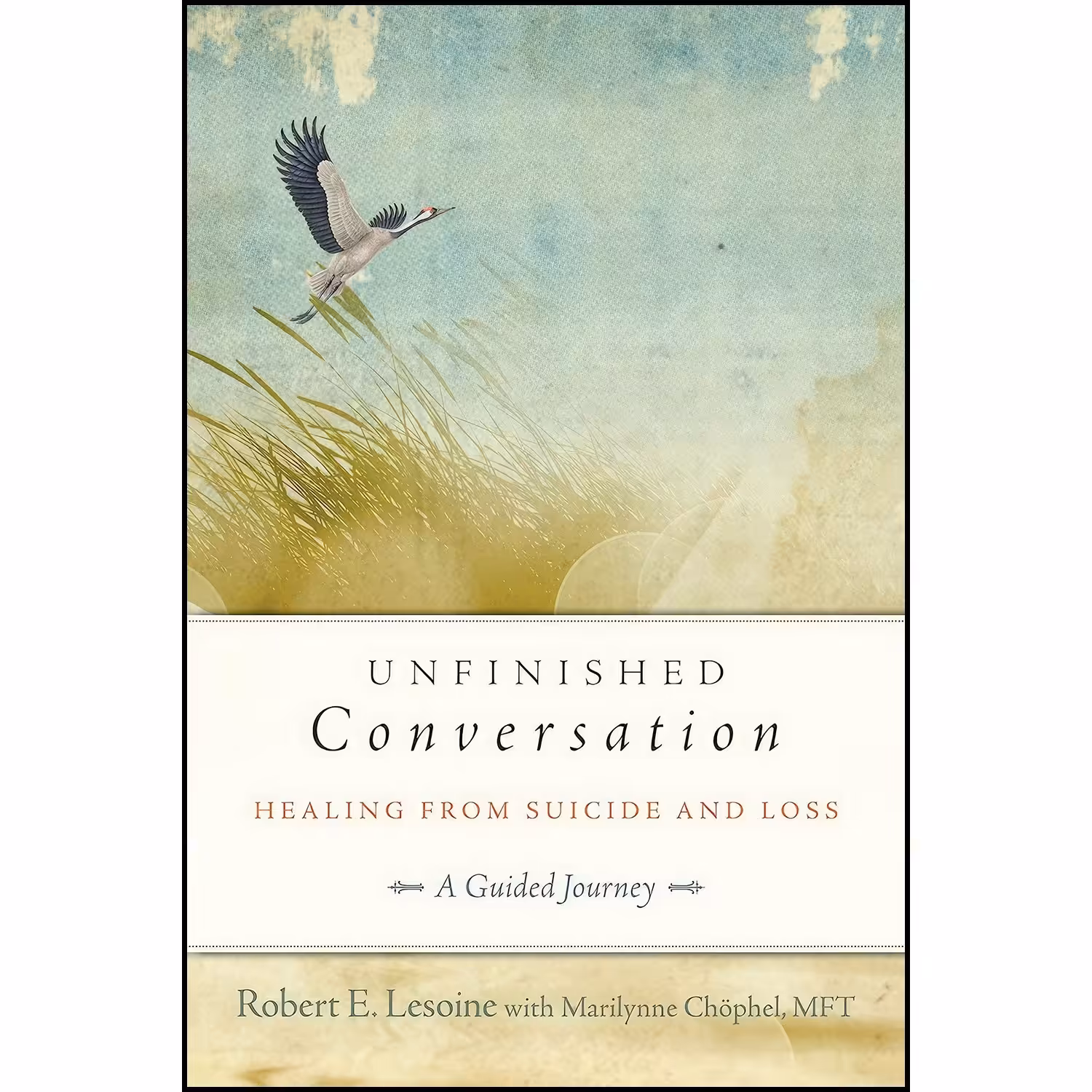 کتاب زبان اصلی Unfinished Conversation اثر Robert Lesoine and Marilynne Chophel