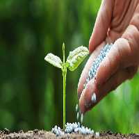 طرح توجیهی کود شیمیایی - Tarhtojihi.org