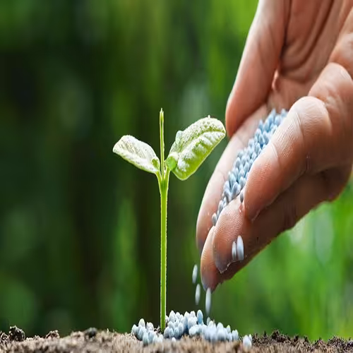 طرح توجیهی کود شیمیایی - Tarhtojihi.org