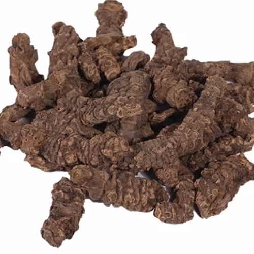 گیاه اسارون 50 گرم  (دفع سنگ کلیه و مثانه و قطع قاعدگی )