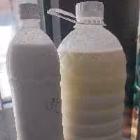 دوغ محلی ویژه