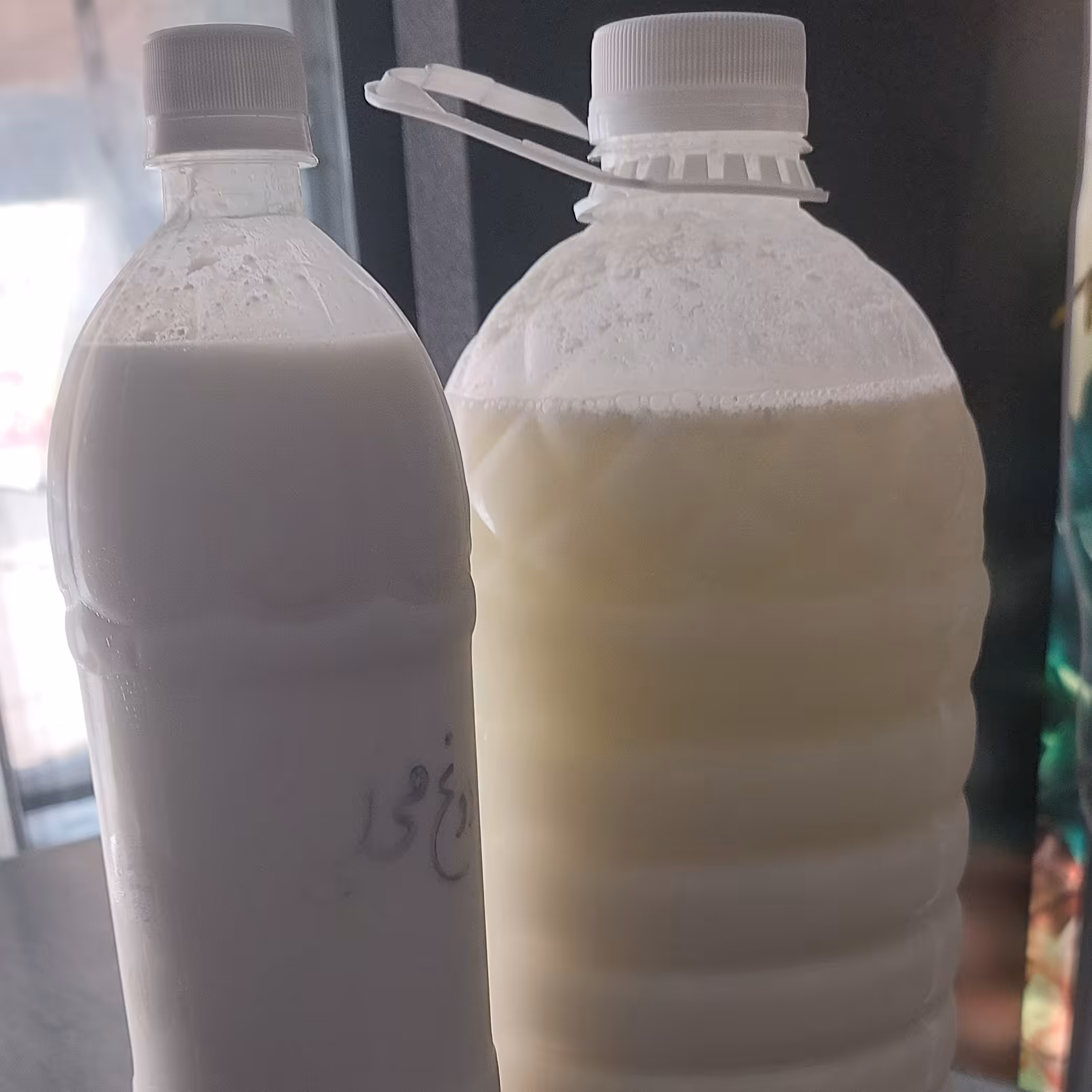 دوغ محلی ویژه