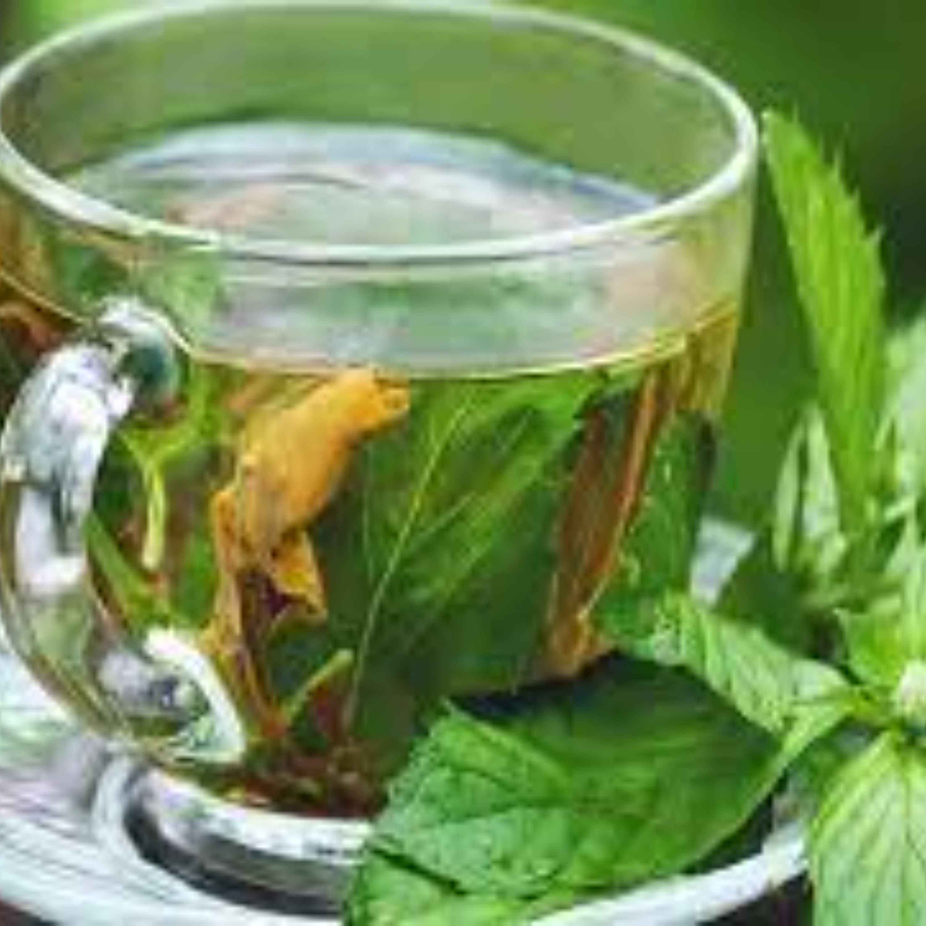 عرق خالص و سنتی نعنا