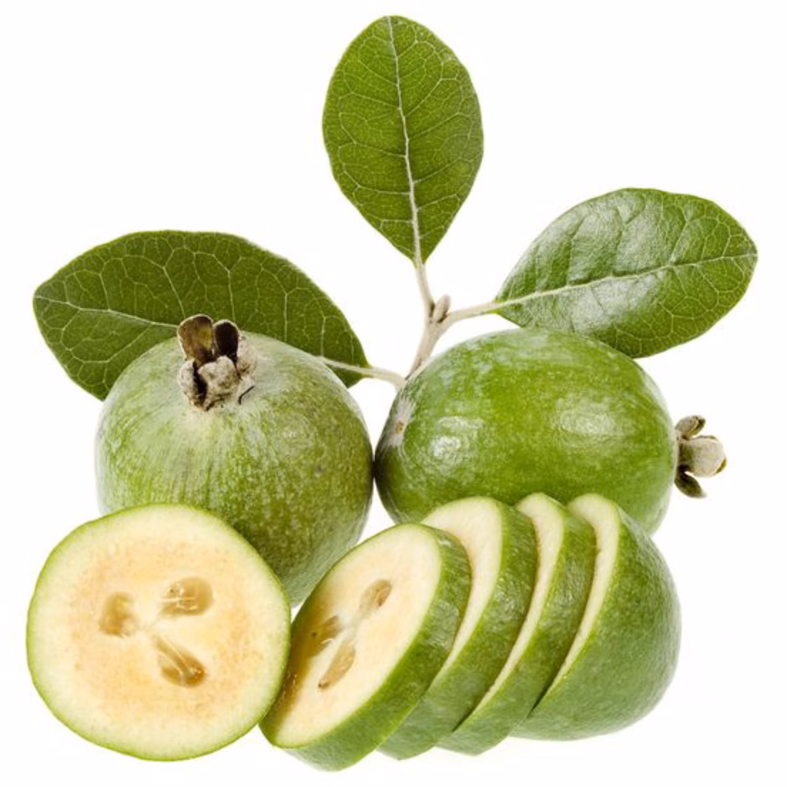 بذر فیجوا (فوجیا) بسته 4 عددی