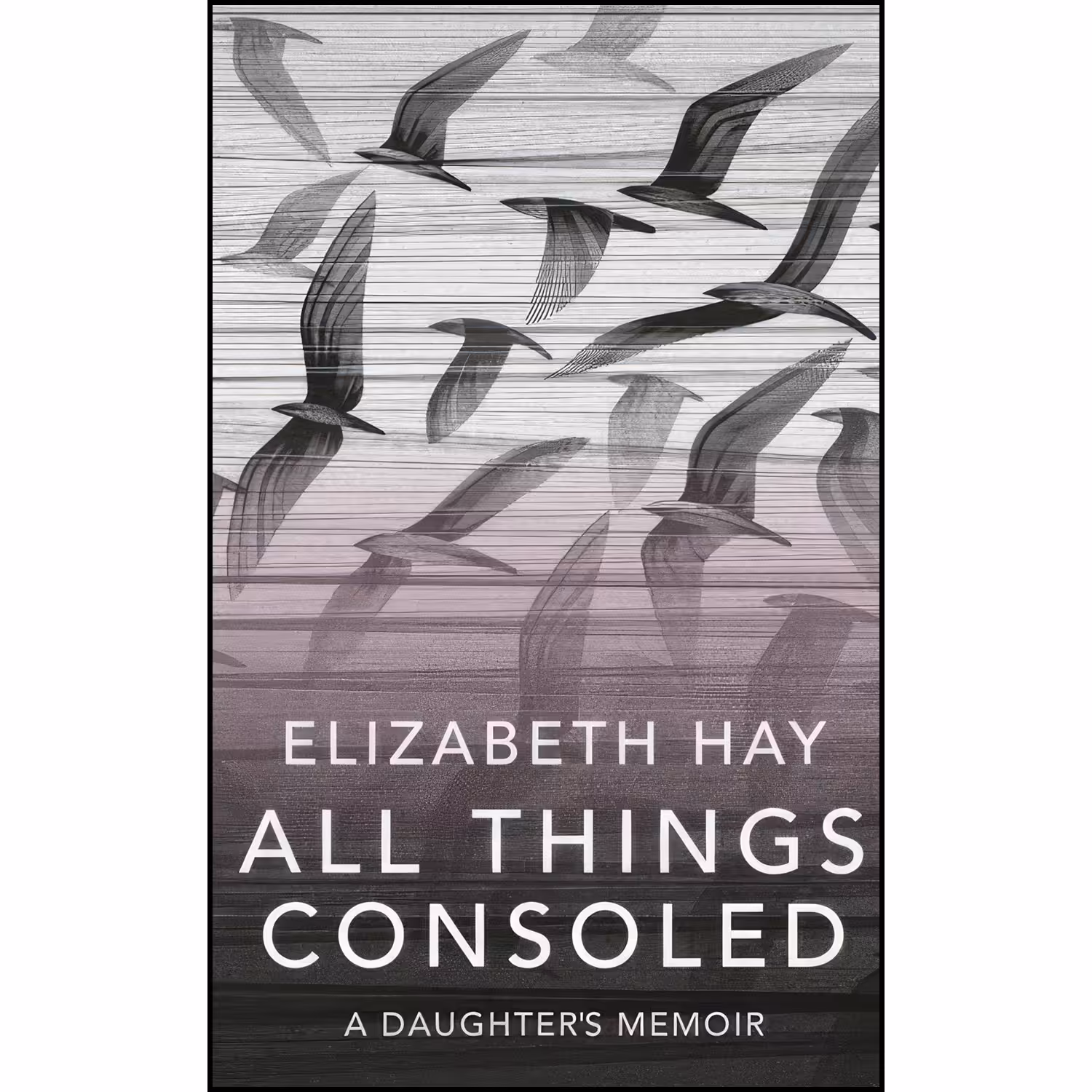 کتاب زبان اصلی All Things Consoled اثر Elizabeth Hay