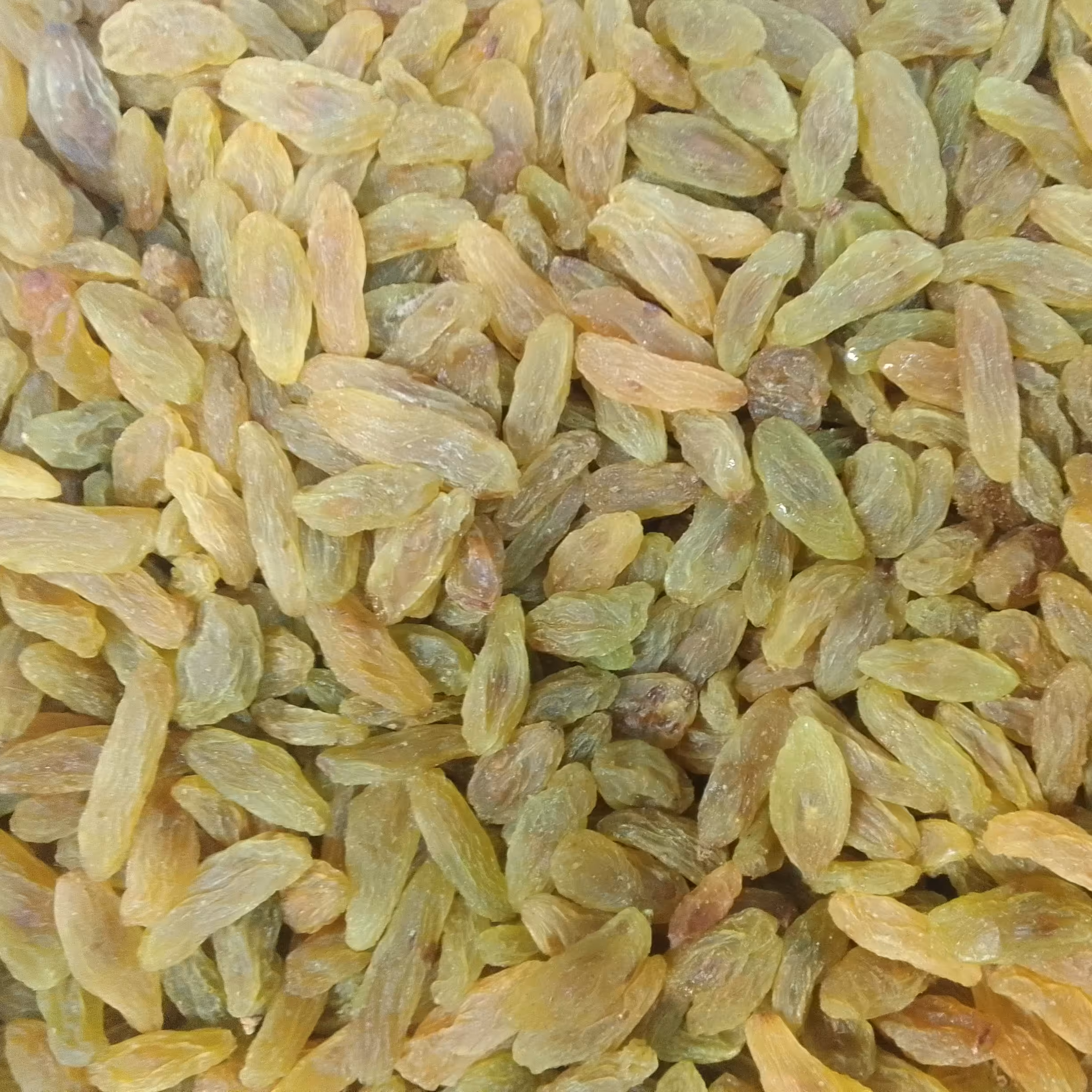 کشمش سبز کاشمر (500 گرم )