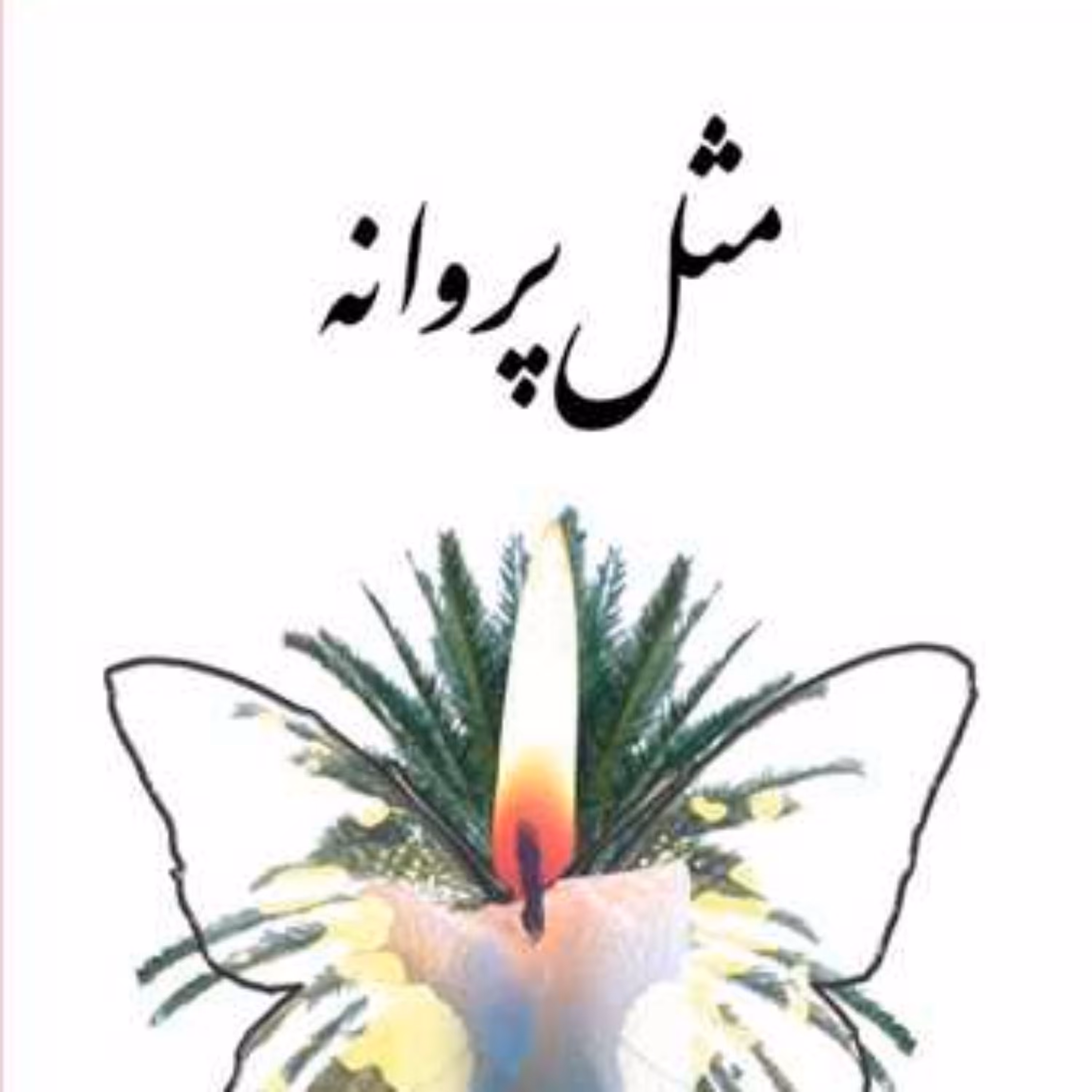 کتاب مثل پروانه  ناشر انتشارات بوستان کتاب اثر مرضیه دانش زاده