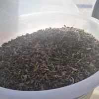 چای سبز ممتاز بهاره 1403، یک کیلویی  براتنظیم قند خون با کیفیت و تأثیر بالا  ارسال رایگان