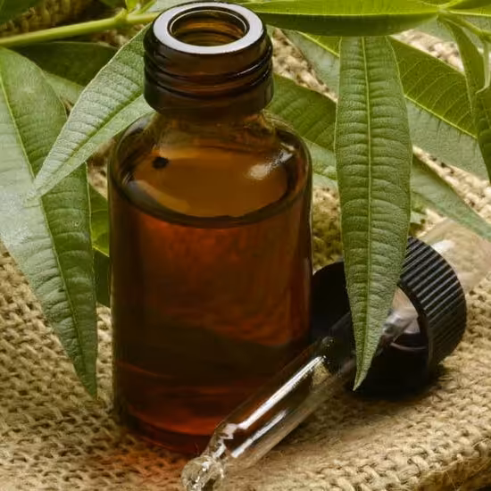 روغن درخت چای