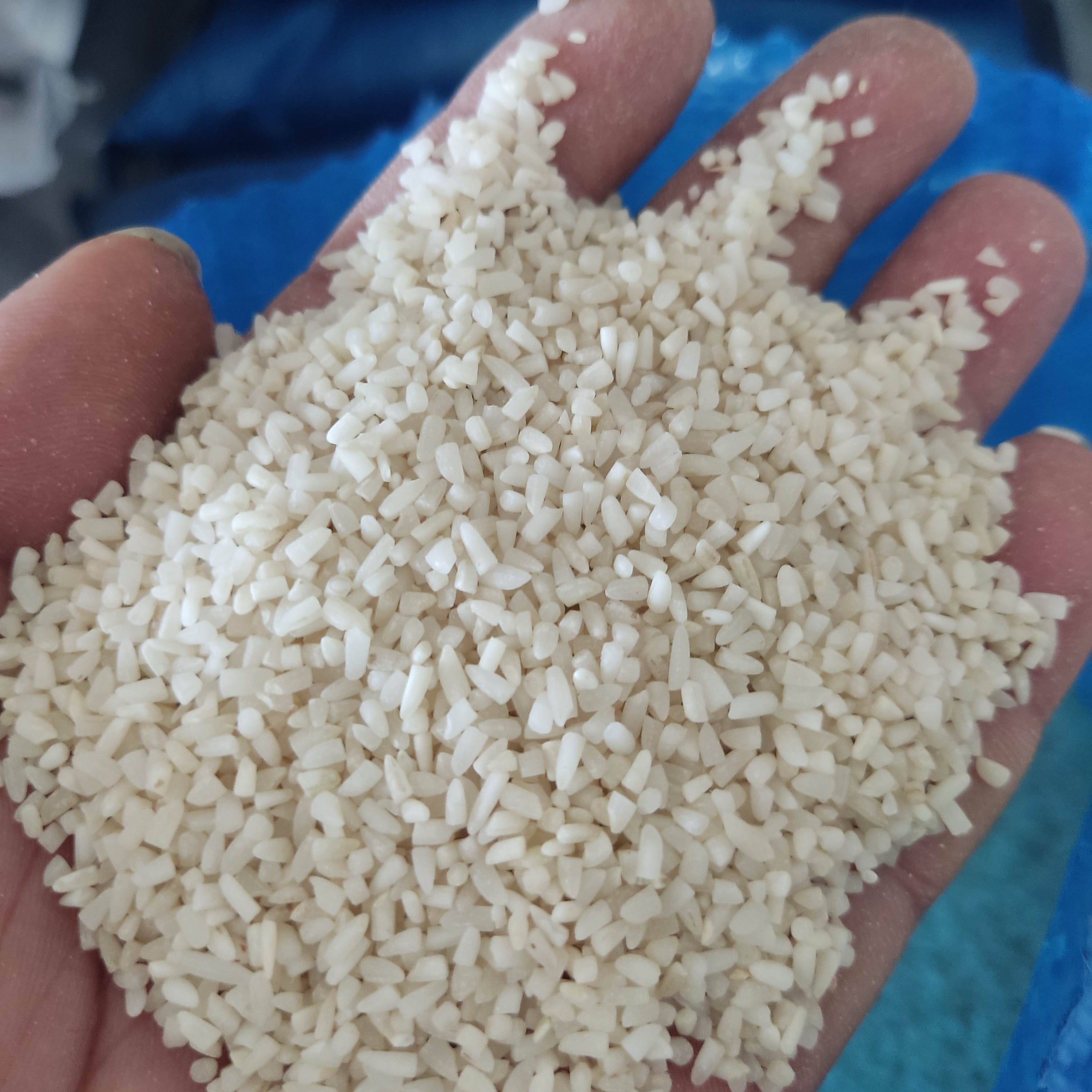 برنج نیمدانه فریدونکنار معطر و مرغوب تهیه شده از برنج هاشمی 5 و 10 کیلویی