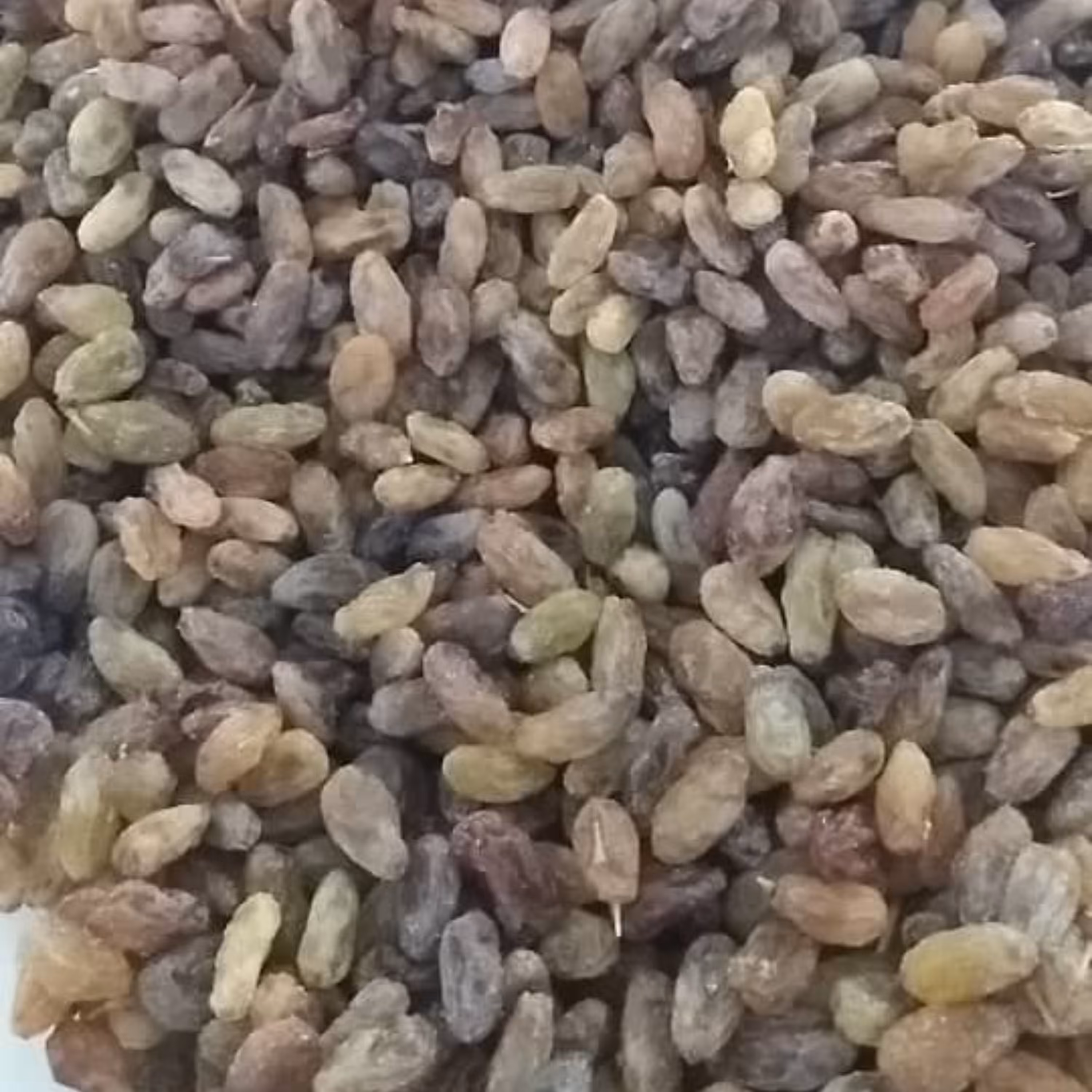 کشمش سایه خشک