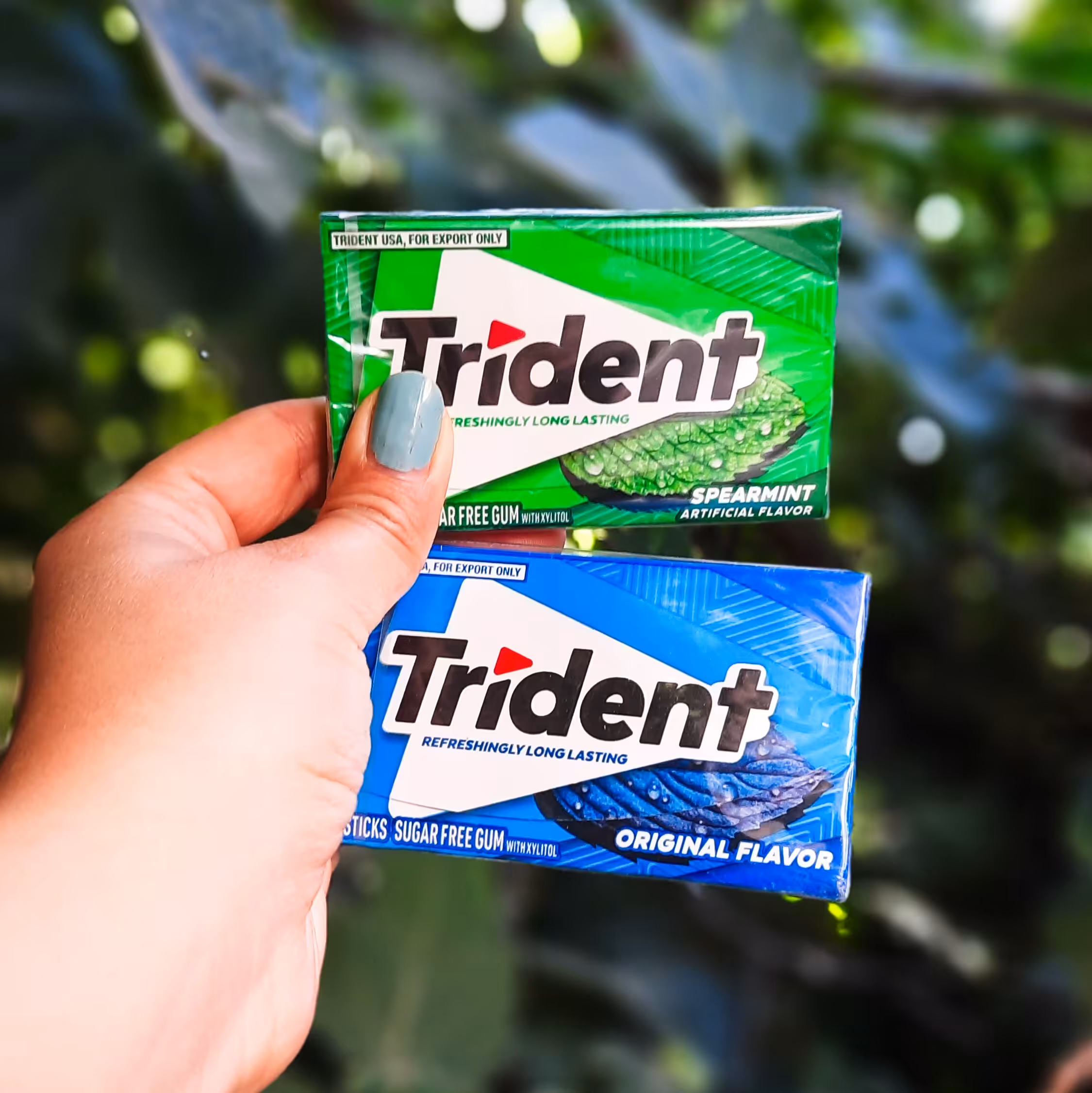 آدامس تریدنت اصلی در دو طعم نعنا و نعنا یخی