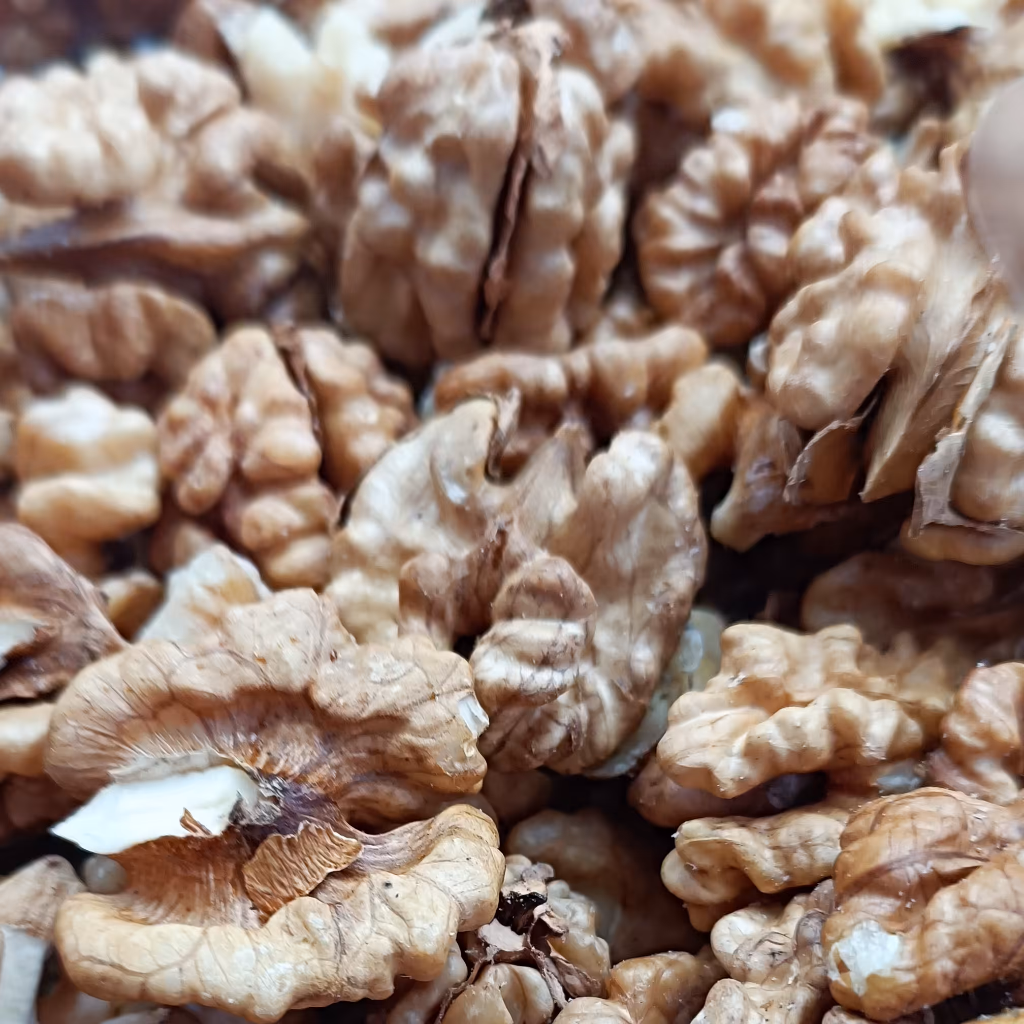 مغز گردو  ایرانی سوپر ممتاز نیم کیلو 265