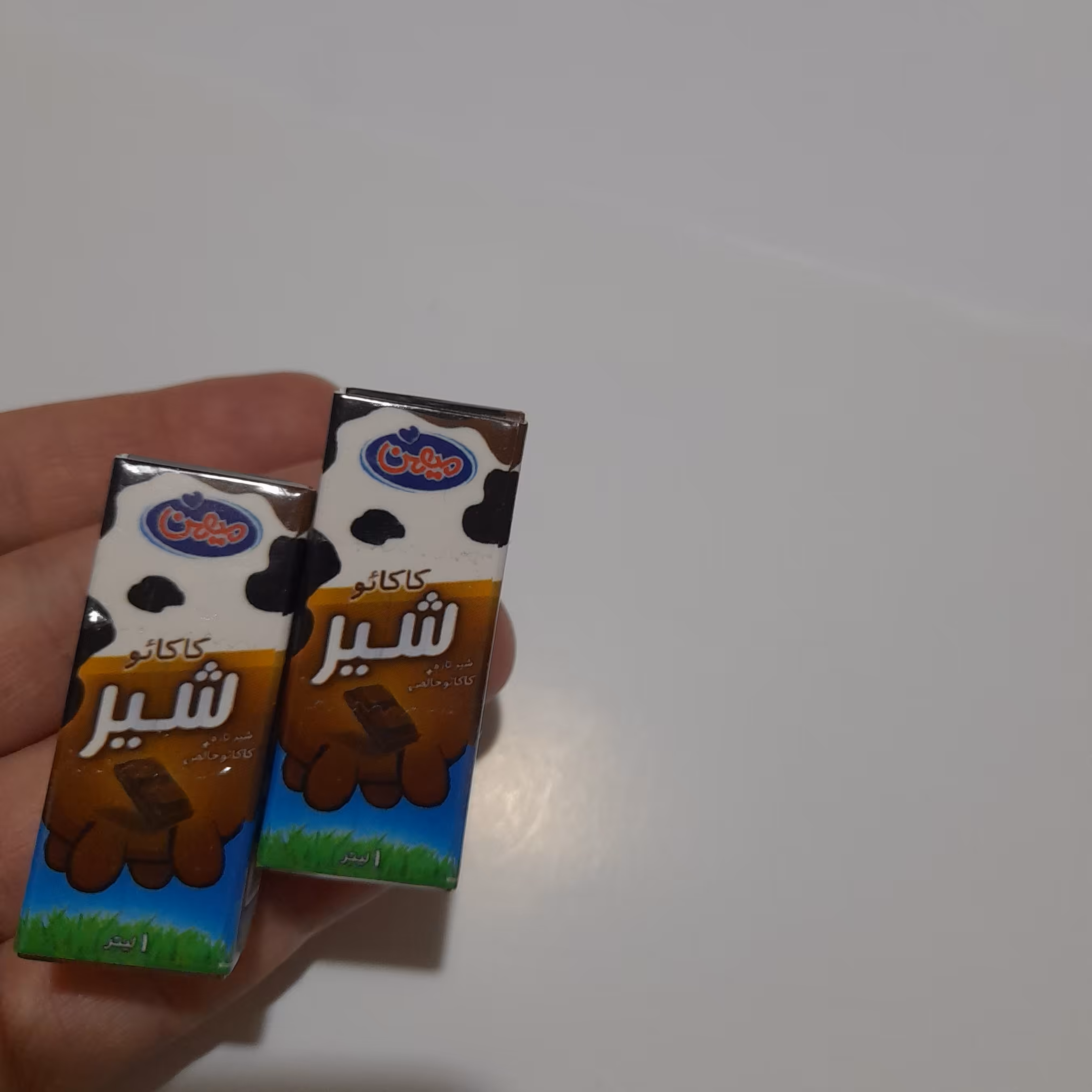 مگنت مینیاتوری شیر کاکائو