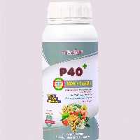 کود محرک ریشه زا و گلدهی ماکسفر  پی 40 حاوی فسفر روی و منگنز نیم لیتری ارسال با باربری