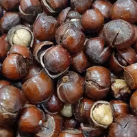 فندق بو داده ، نیم کیلو