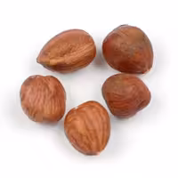 مغز فندق خام 1000 گرم