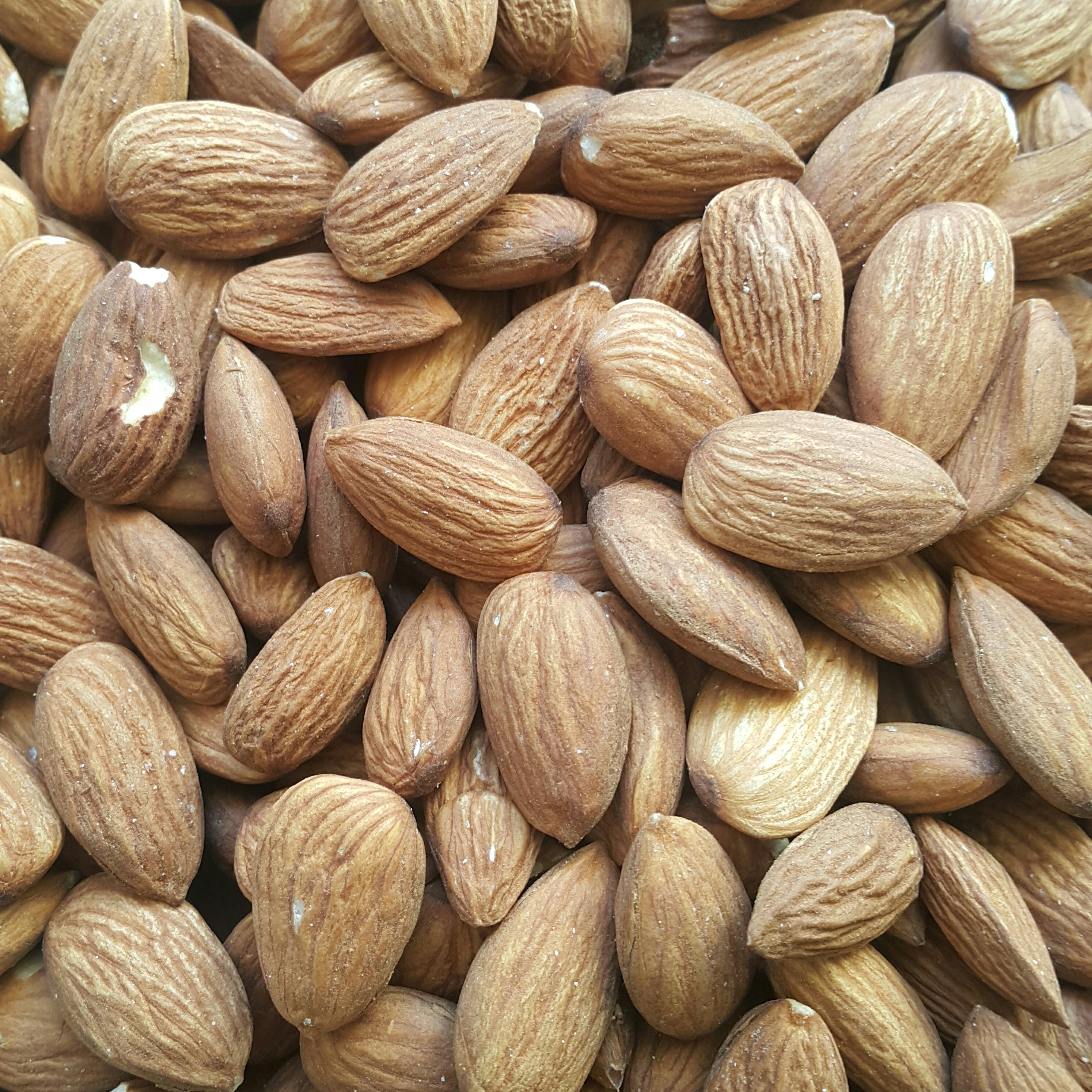 مغز بادام خام (10 کیلو) آمریکایی