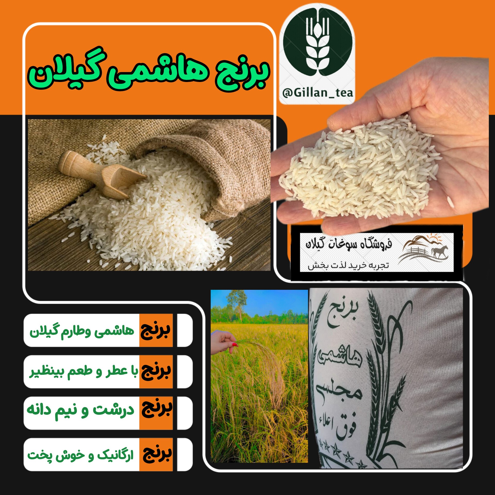 برنج هاشمی گیلان 20 کیلویی برنج هاشمی گیلان بیست کیلویی درجه یک