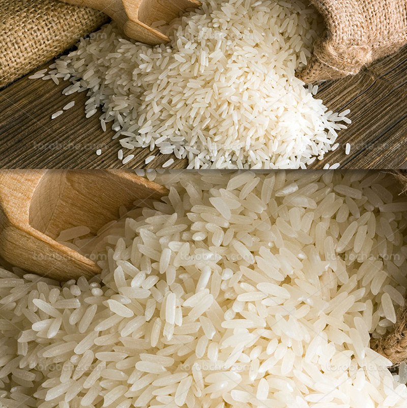 برنج طارم محلی مازندران
