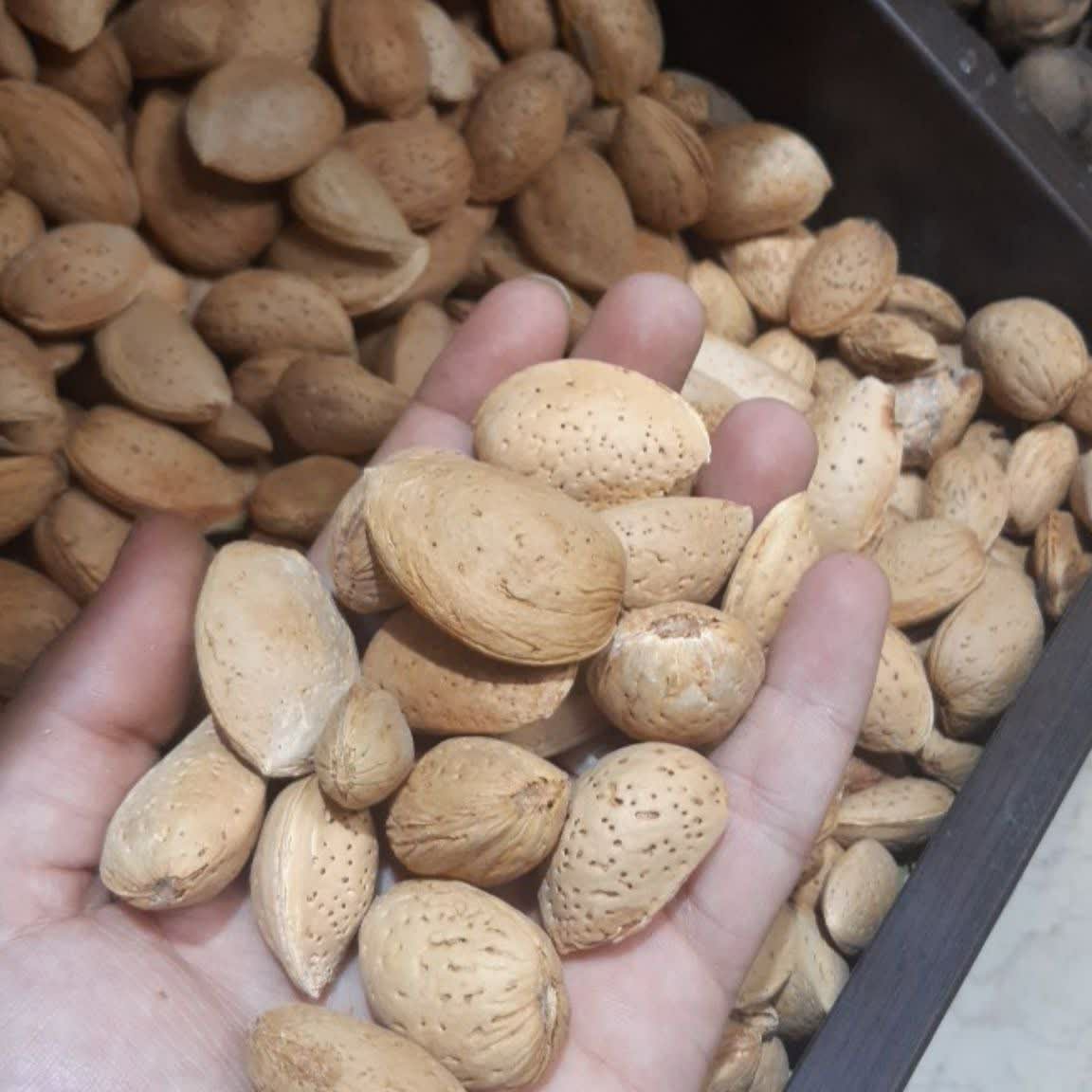 بادام درختی شیرین ومرغوب امساله1400 (1000گرم)