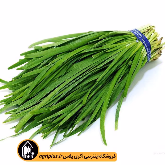 بذر تره بسته بندی خانگی