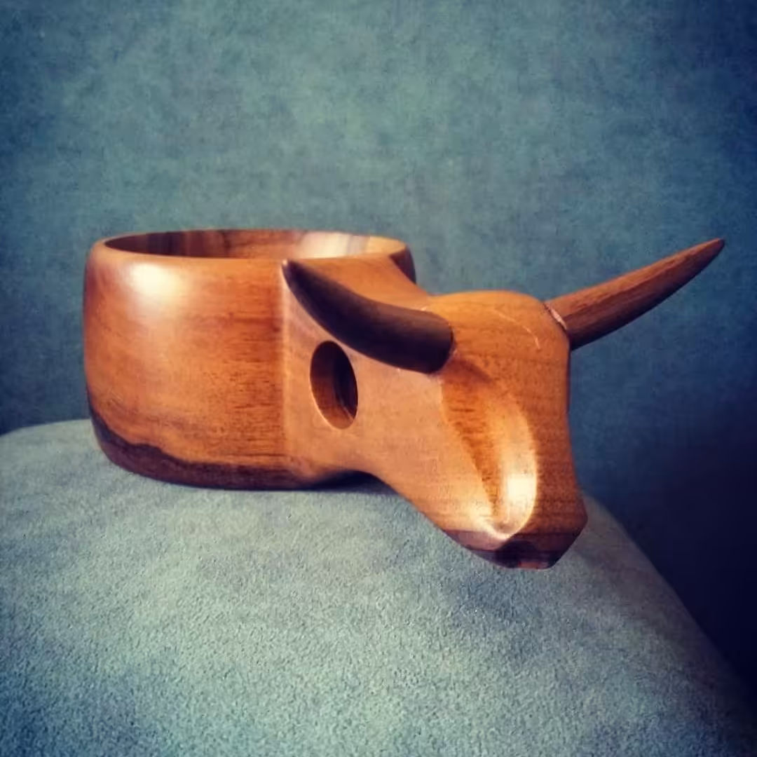 کوکسا دسته کله گاوی