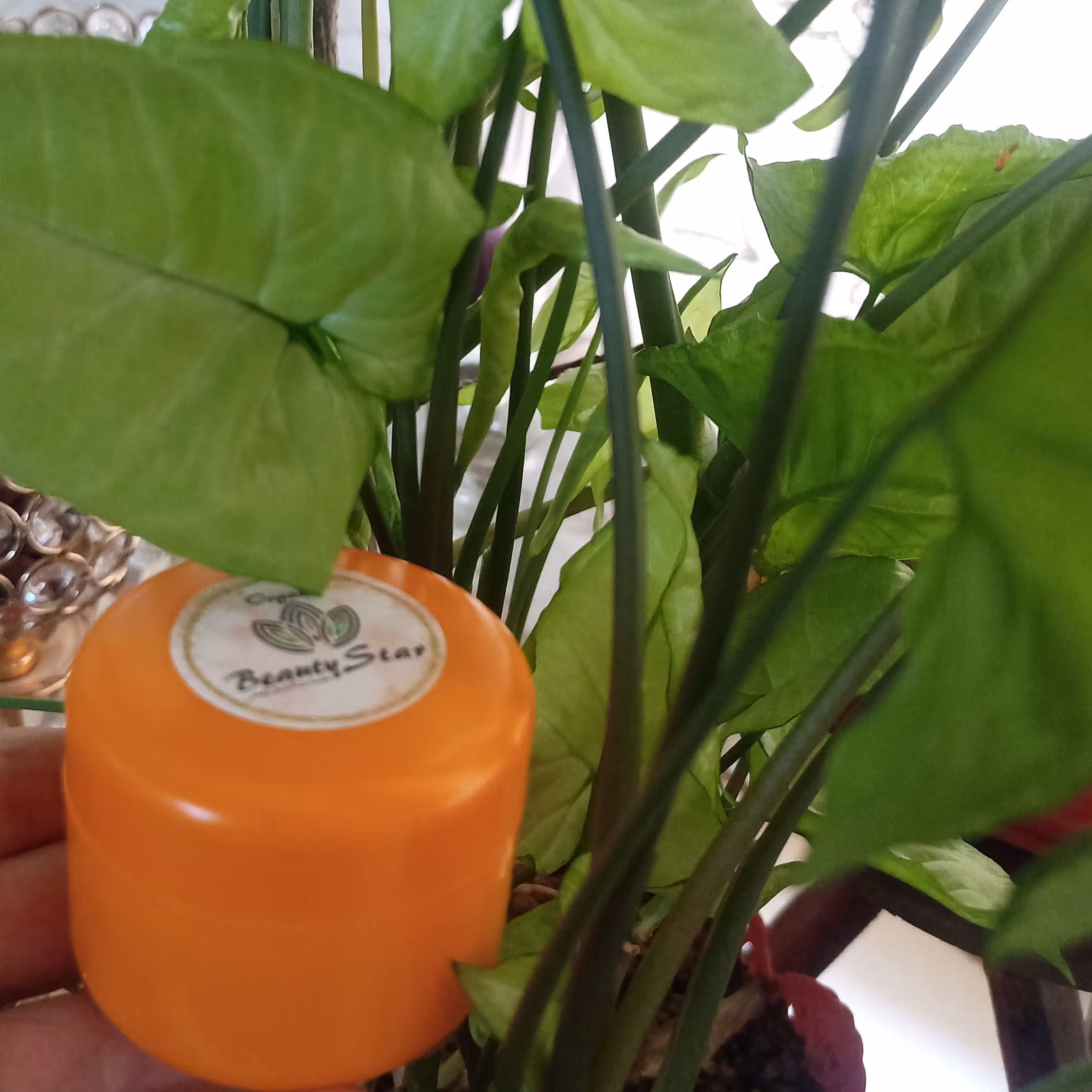 کرم ضدآفتاب