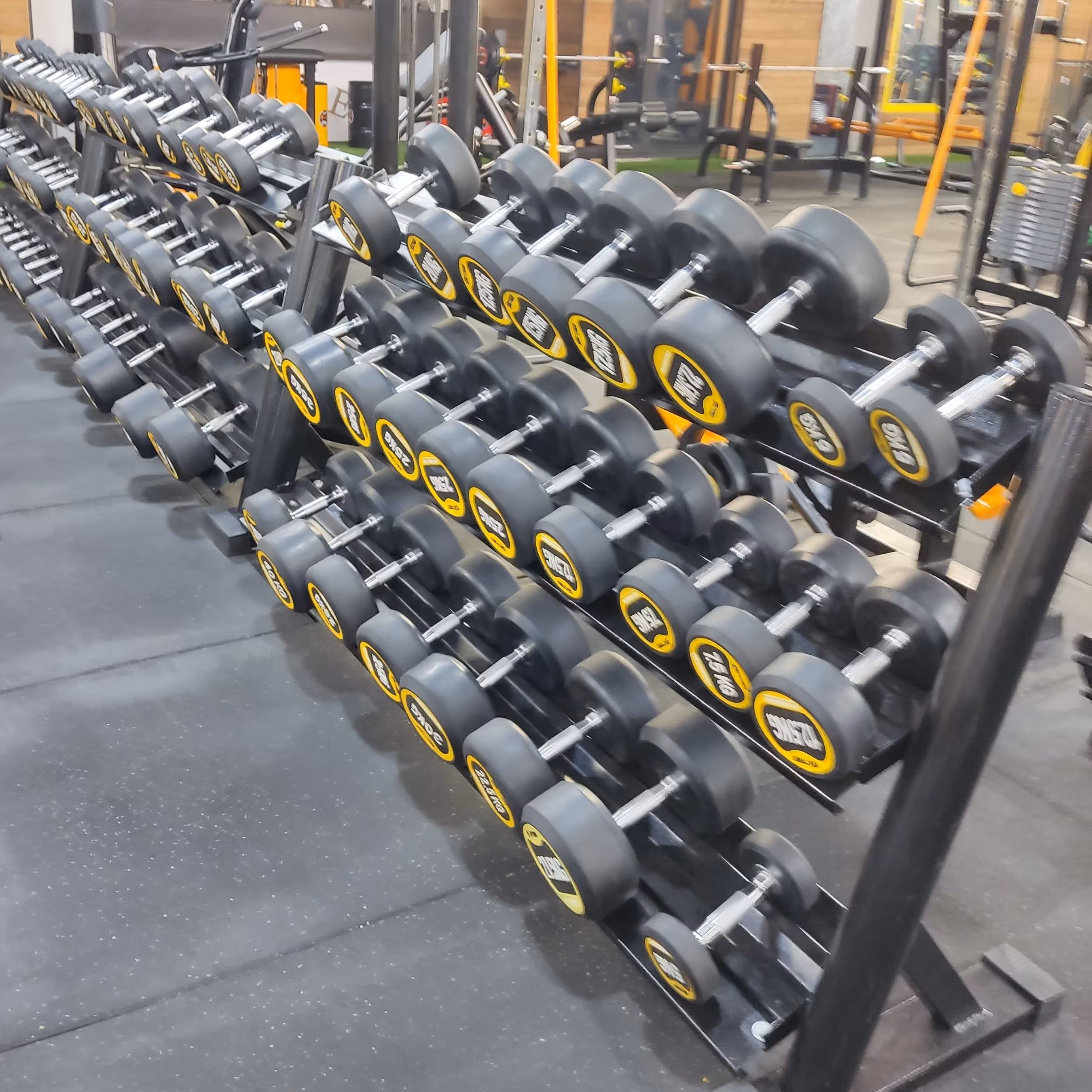 رک دمبل سه طبقه المپیک فیتنس