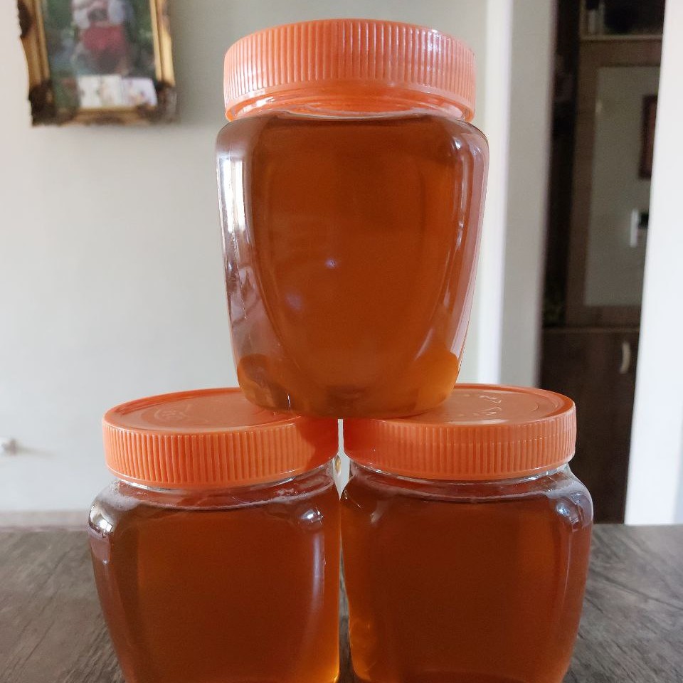 عسل طبیعی از رشته کوههای زاگرس در بسته بندی های یک کیلویی و بالاتر بسیار با کیفیت و اورگانیک